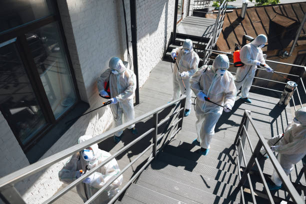 Best Emergency Mold Remediation  in North Oaks, MN