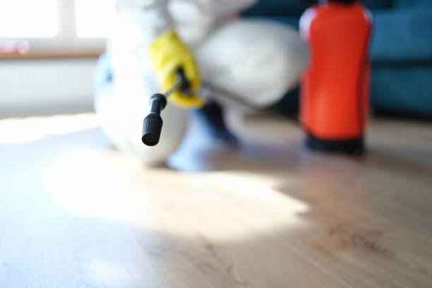 Best Mold Documentation for Insurance Claims  in North Oaks, MN