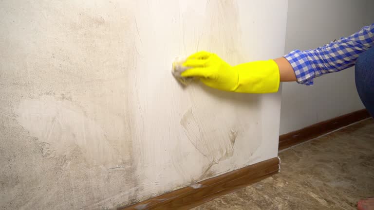 Best Dehumidification Services  in North Oaks, MN