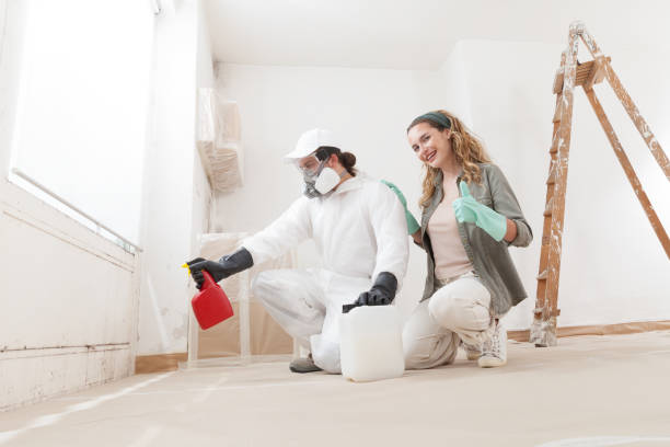 Best Commercial Mold Inspection  in North Oaks, MN